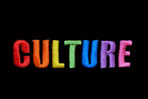 CULTURE Cropped T-shirt